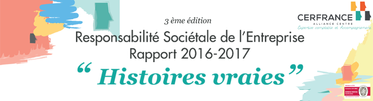 Rapport RSE 2017