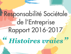 Rapport RSE 2017